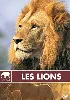 dvd les lions