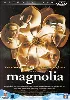 dvd magnolia - édition simple