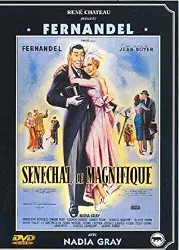 dvd sénéchal le magnifique