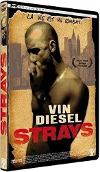 dvd strays