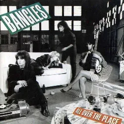 cd bangles all over the place