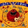 cd big soul (1995, cd)