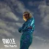 cd owlle - heavy weather