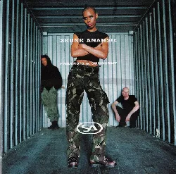 cd skunk anansie paranoid sunburnt (1995, cd)