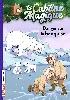 livre la cabane magique tome 15 danger sur banquise