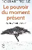 livre le pouvoir du moment présent guide d'éveil spirituel