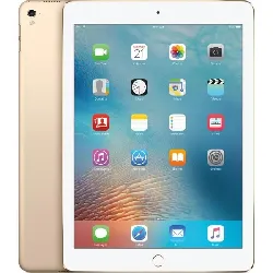 tablette apple ipad 7eme generation 2019 32go a2197 wifi space gray or