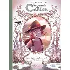 bd soleil - les carnets de cerise tome 5 - des premières neiges aux perséides