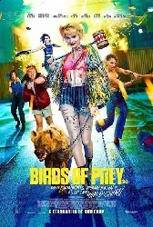 blu-ray birds of prey (combo 4k uhd blu ray)