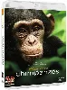 blu-ray chimpanzés
