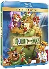 blu-ray robin des bois