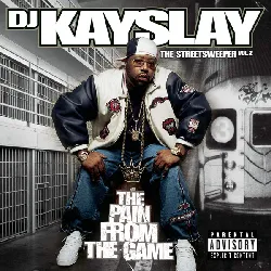 cd dj kayslay* the streetsweeper vol. 2: pain from game (2004, cd)
