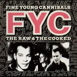 cd fine young cannibals - the raw & the cooked (1990)