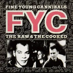 cd fine young cannibals - the raw & the cooked