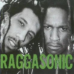cd raggasonic