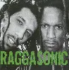 cd raggasonic
