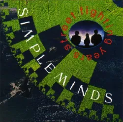 cd simple minds street fighting years (1989, cd)