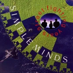 cd simple minds, street fighting years, cd