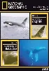 dvd national geographic la sélection volume 8 le festin des orques panique chez les baleines