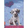 livre chiots magiques n05 anniversai