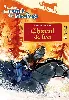 livre le ranch des mustangs tome 2 cheval de feu