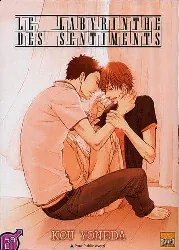manga taifu comics yaoi - le labyrinthe des sentiments