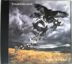 cd david gilmour - rattle that lock (2015)