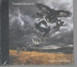cd david gilmour rattle that lock (2015, cd)