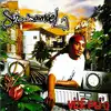 cd sir samuel - vizé pli o (2005)