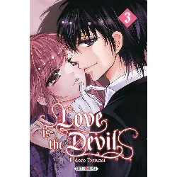 dvd love is the devil tome 3