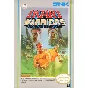 jeu nes ikari warriors