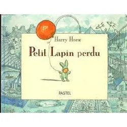 livre petit lapin perdu