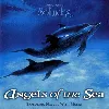 cd dan gibson angels of the sea (cd)