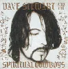 cd dave stewart and the spiritual cowboys (1990, cd)