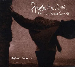 cd phoebe killdeer and the short straws weather's coming ... (2008, cd)