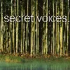cd secret voices