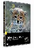 dvd bébés animaux instincts sauvages