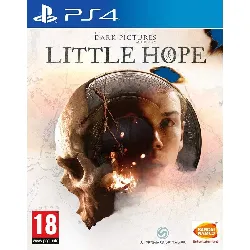 jeu ps4 the dark pictures little hope
