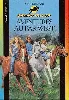 livre aventures au far west (relookage) n610