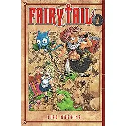 livre fairy tail france loisirs tome 2 tomes 3 et 4 hiro mashima