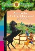 livre la cabane magique tome 44 alexandre et l'indomptable cheval