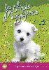 livre les chiots magiques tome 6  a la belle étoile - editions pocket jeunesse