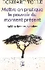 livre mettre en pratique le pouvoir du moment présent