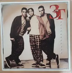 cd 3t - brotherhood (2001)