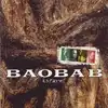cd baobab - naturel (1999)