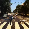cd paul mccartney - paul is live