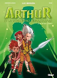 livre arthur et les minimoys la vengeance de maltazard tome 2