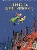 livre les chroniques d'un maladroit sentimental tome 1 petit béguin gros pépins