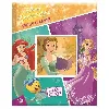 livre disney princesses récits d'amitié