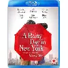blu-ray un jour de pluie new york